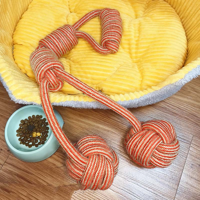 Pet Play Toys